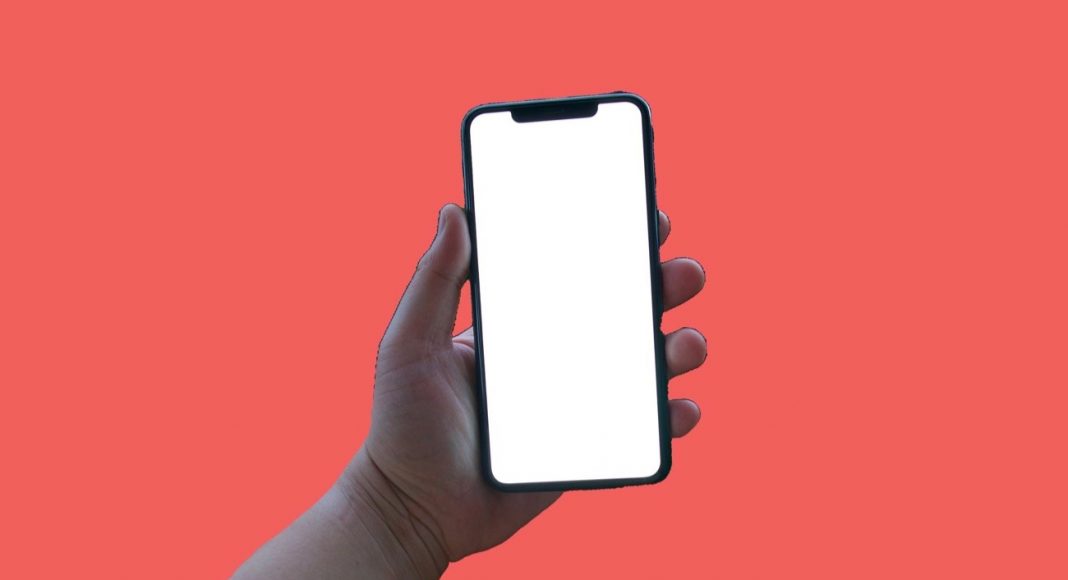 Female hand holding iphone 11 over red backdrop
